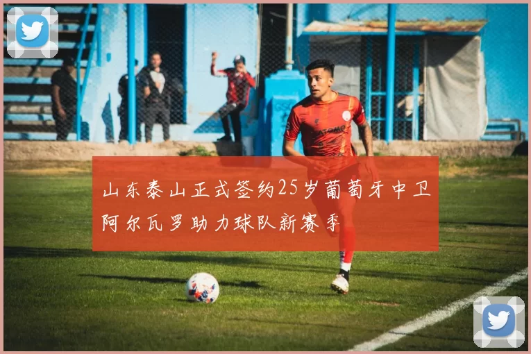山东泰山正式签约25岁葡萄牙中卫阿尔瓦罗助力球队新赛季